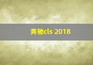 奔驰cls 2018